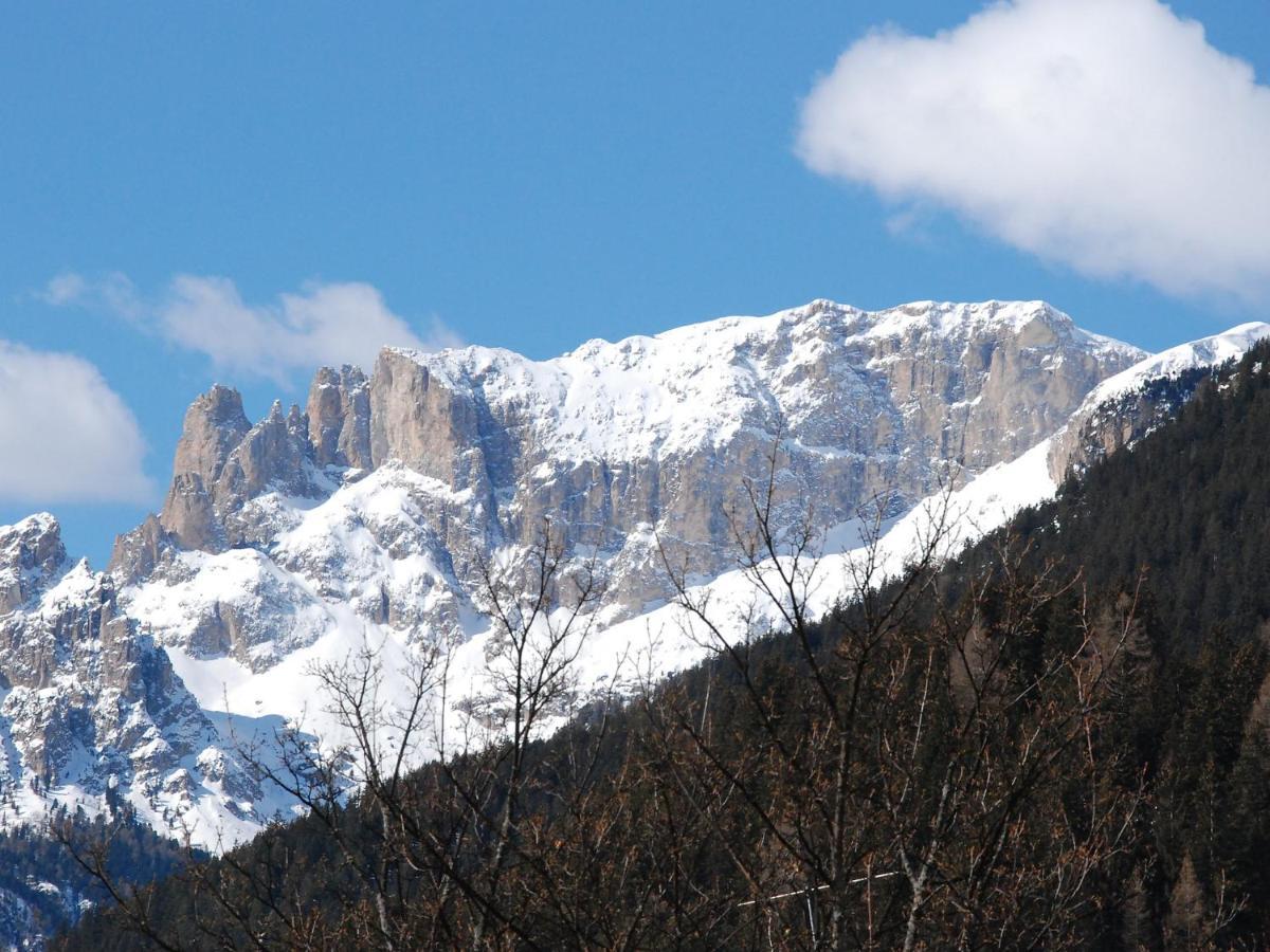 Apartment Villa Placidia-8 By Interhome Campitello di Fassa Buitenkant foto